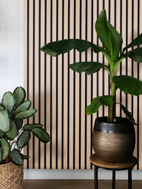 微信图片_20260320164918